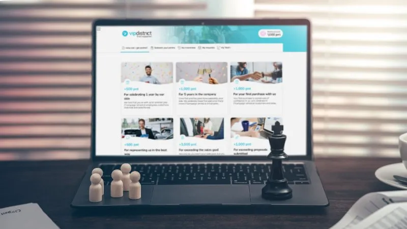 Vip Incentives Campaigns